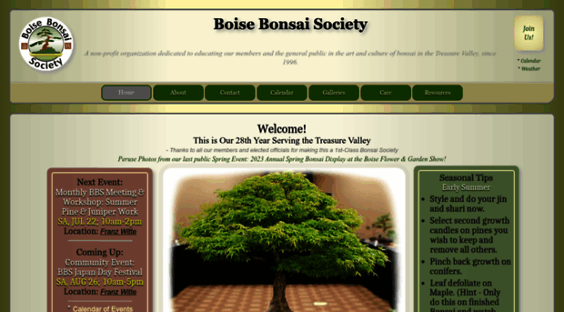 boisebonsai.com