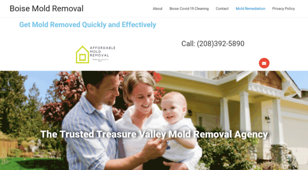 boisemoldremoval.com