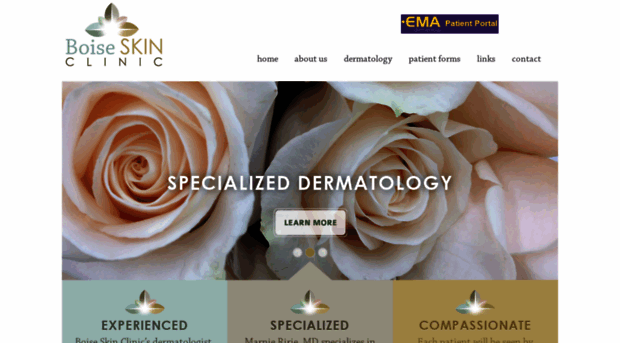 boiseskinclinic.com