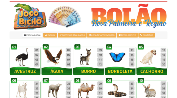 bolaonp.com.br