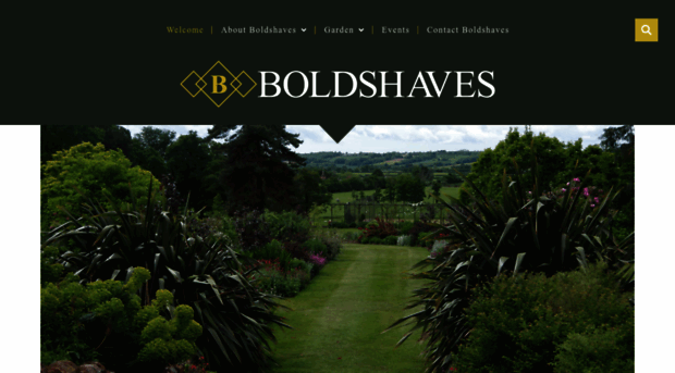 boldshaves.com