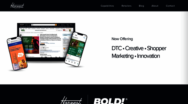 boldstrategies.com