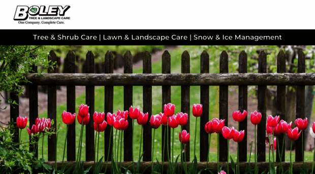 boleytlc.com