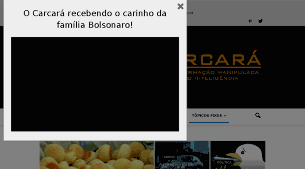 bolhabrasil.org