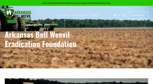 boll-weevil-new.squarespace.com