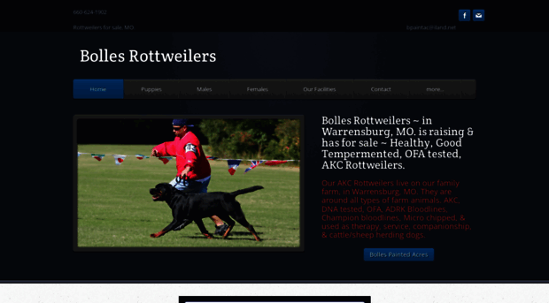 bollesrottweilers.com