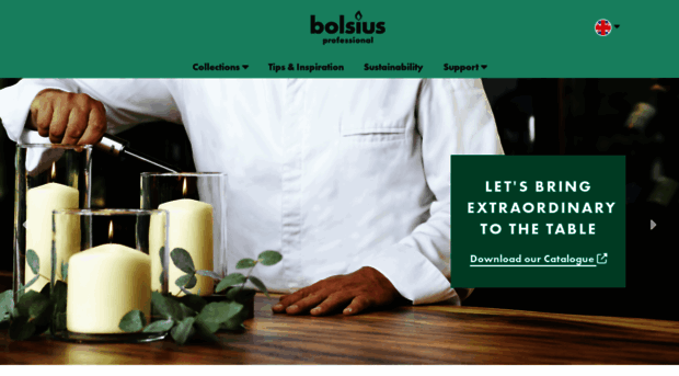 bolsiusprofessional.co.uk