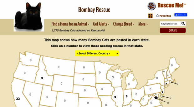 bombay.rescueme.org