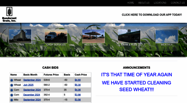 bondurantgrain.com