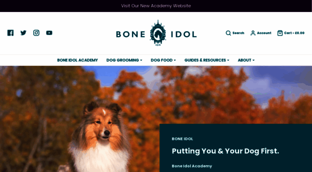 boneidol.co.uk