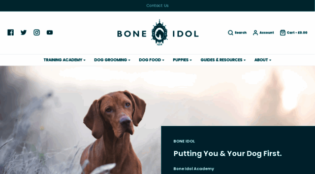 boneidolbrighton.com