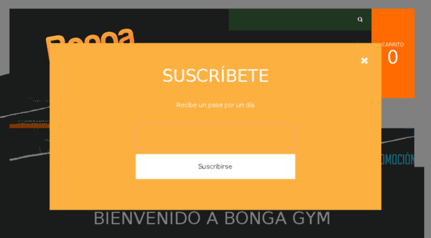 bongagym.com
