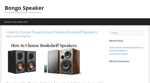 bongospeaker.com