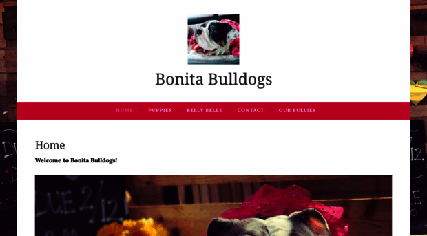 bonitabulldogs.wordpress.com