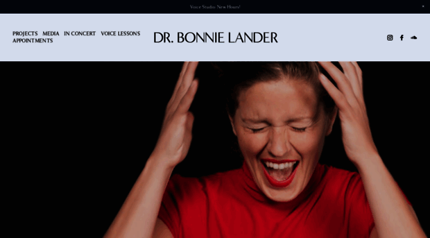 bonnielander.com