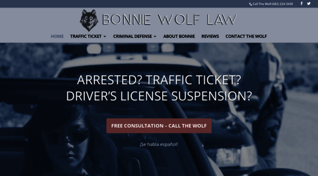 bonniewolflaw.com