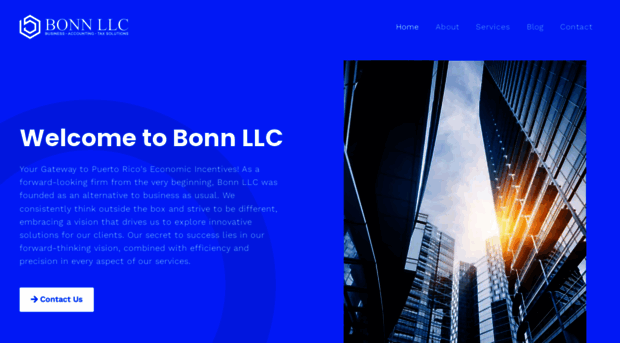 bonnllc.com