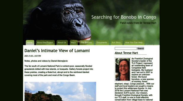 bonoboincongo.com