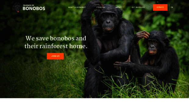 bonoboproject.org