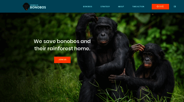 bonobos.org