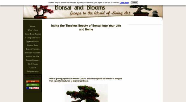 bonsai-and-blooms.com