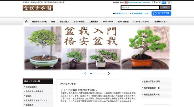 bonsai-aokien.com