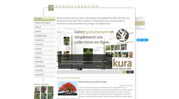bonsai-creation.com