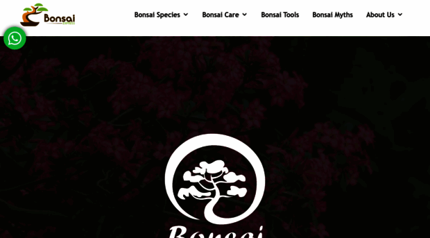 bonsai-express.com