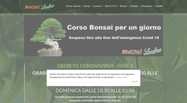 bonsai-roma.com