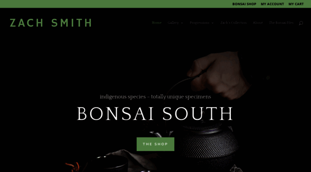 bonsai-south.com