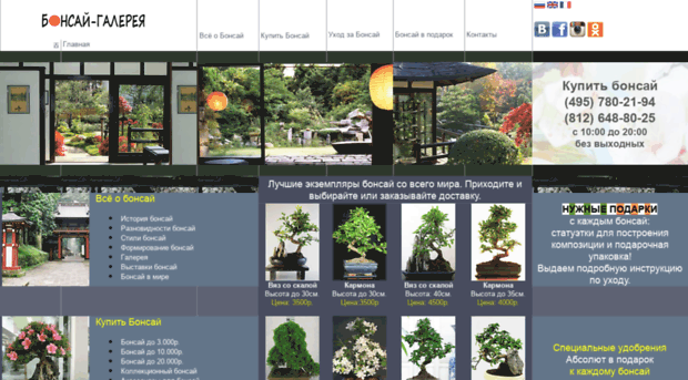 bonsai.su