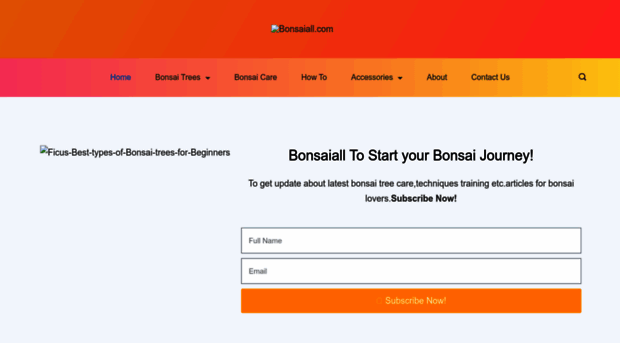 bonsaiall.com