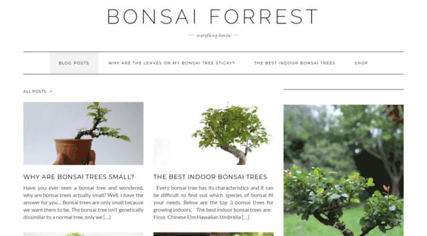 bonsaiforrest.co.uk