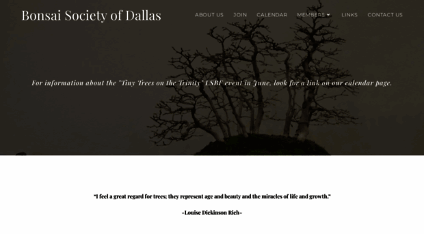 bonsaisocietyofdallas.com