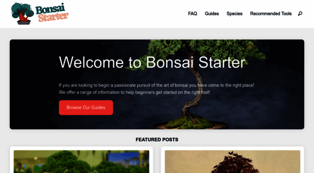 bonsaistarter.com