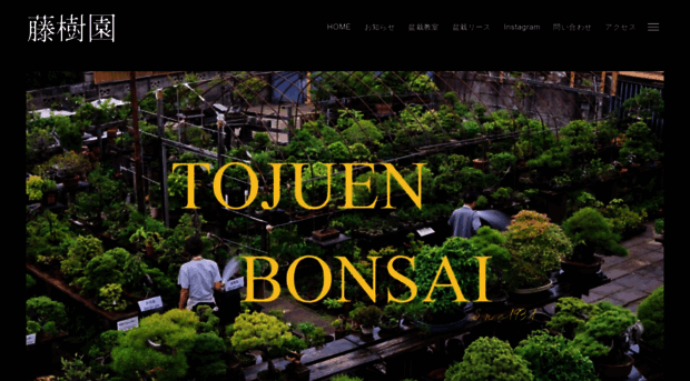 bonsaitojuen.com
