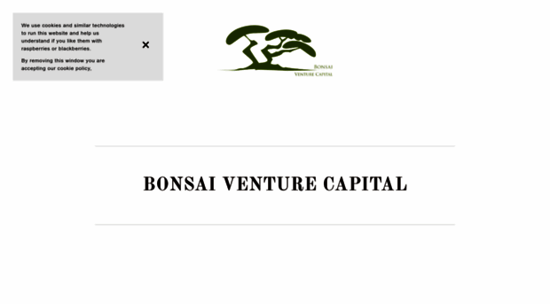 bonsaiventurecapital.com