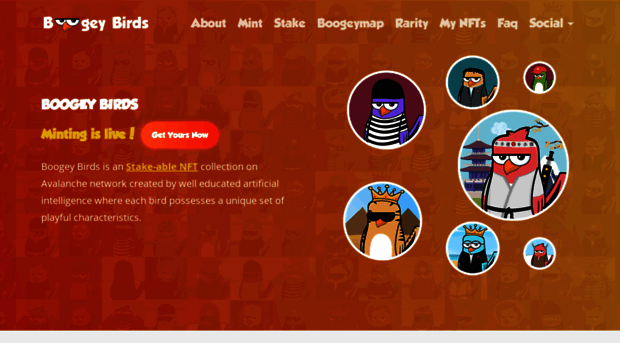 boogeybirds.com