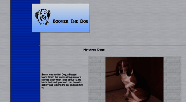 boomerthedog.com