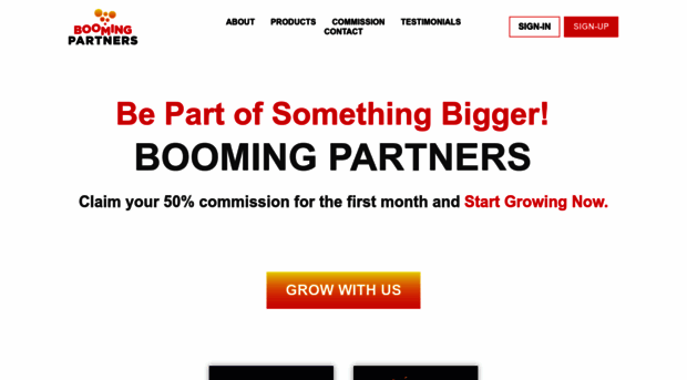 boomingpartners.com