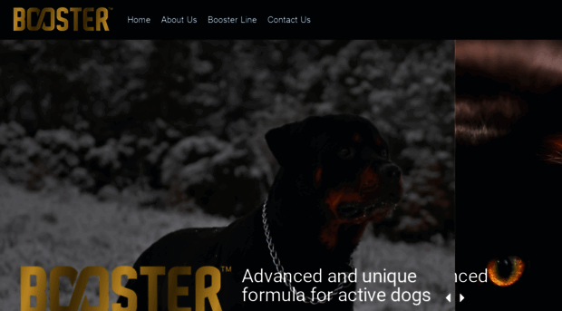 boosterpetfood.com