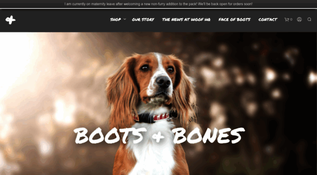 bootsandbones.co.uk