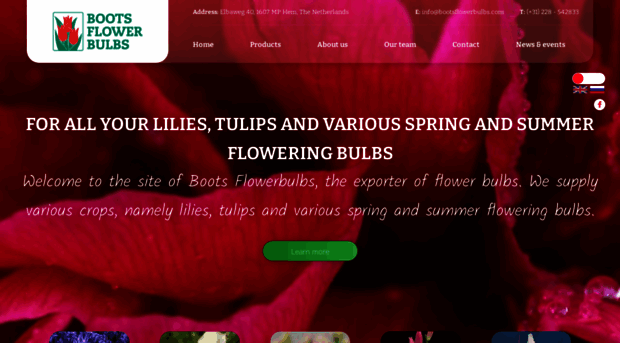 bootsflowerbulbs.com