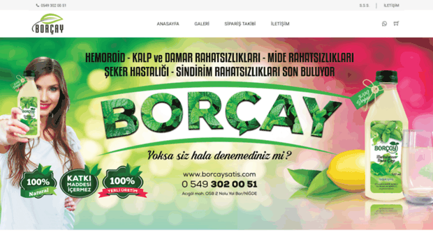 borcaysatis.com