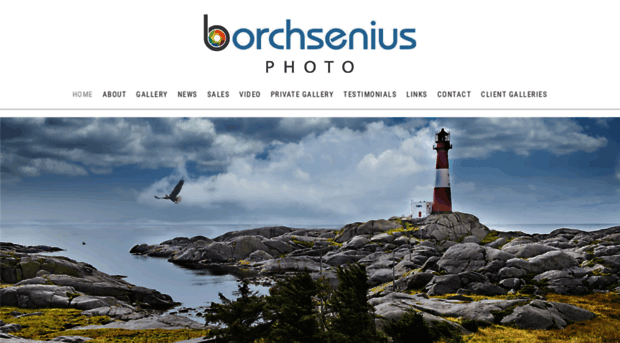 borchseniusphoto.com