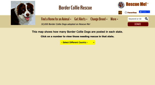 bordercollie.rescueme.org