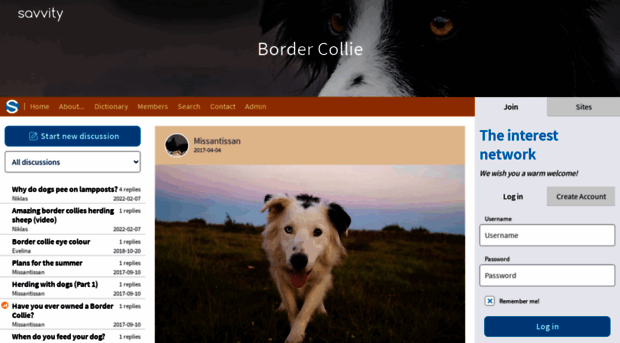 bordercollie.savvity.net