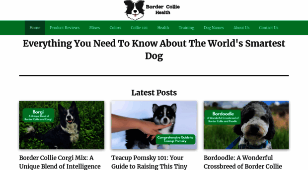 bordercolliehealth.com