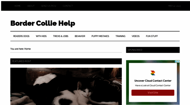 bordercolliehelp.com