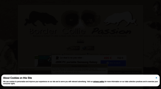 bordercolliemonamour.forumdediscussions.com